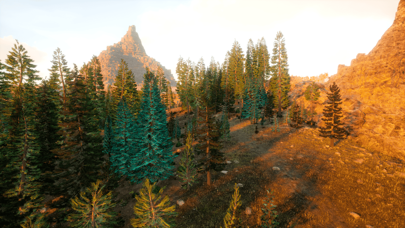 Trees on mountain top