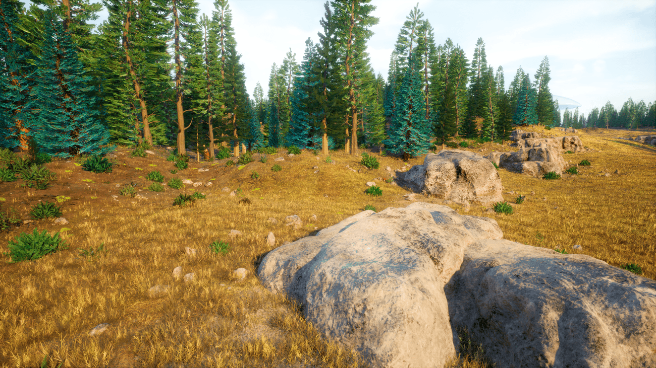 Scattered boulders and trees in open field