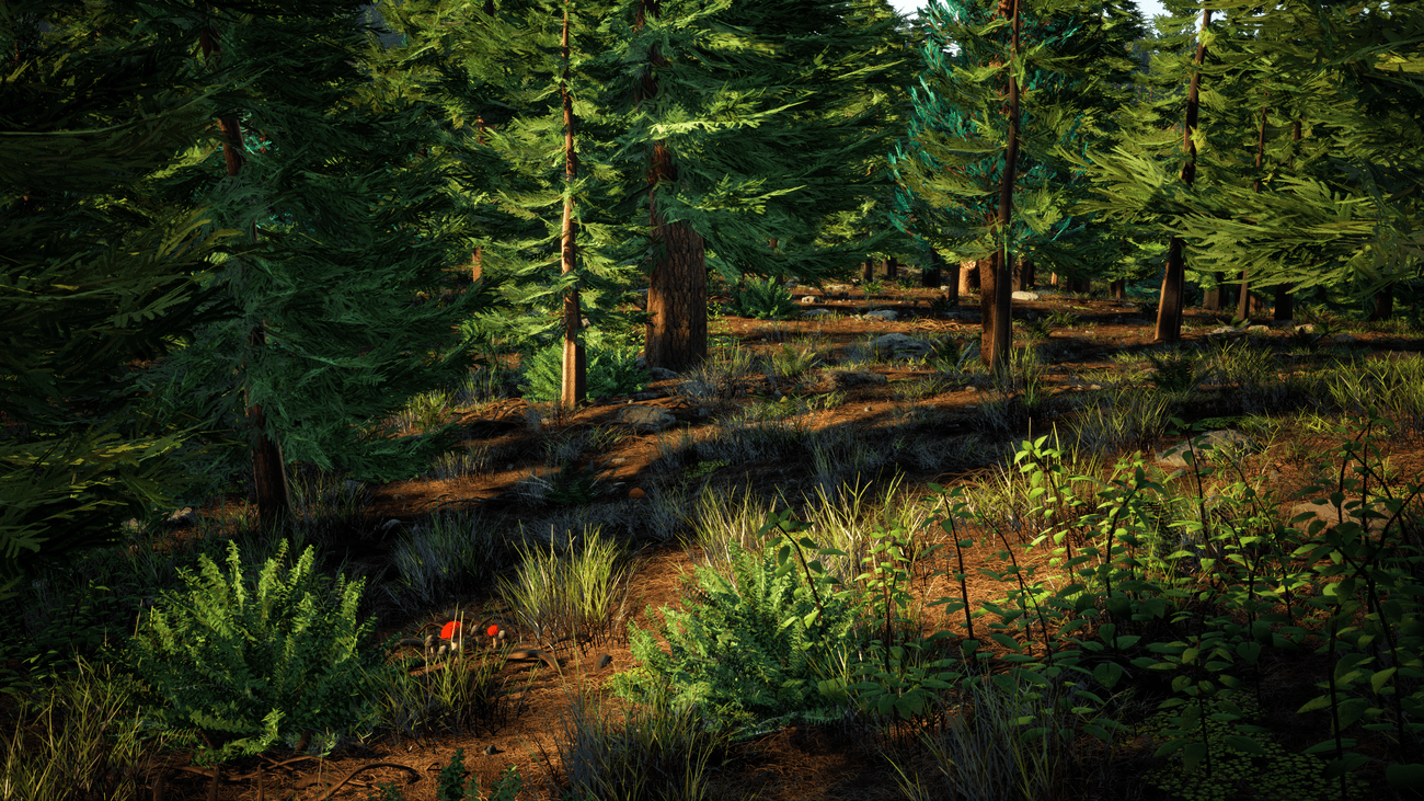 Trees and foliage