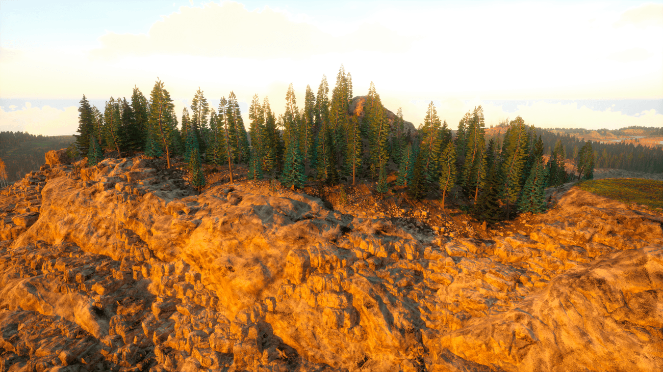 Treeline on mountain top