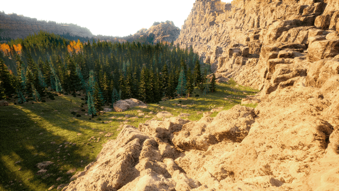 Forest and mountains