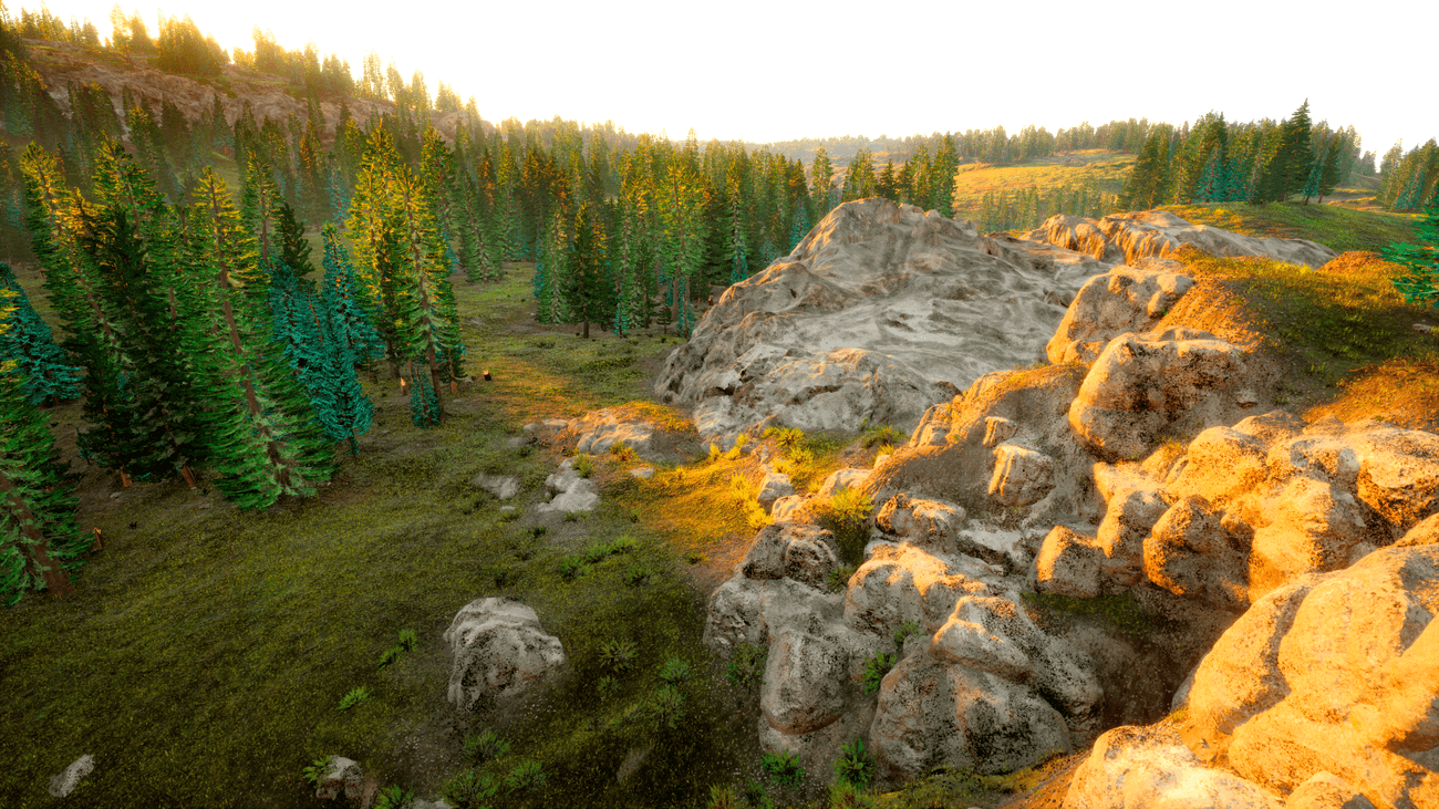 Forests and fields